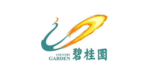 碧桂园大型发电机